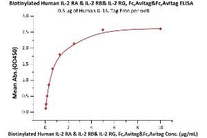 Image no. 1 for IL-2 R beta & IL-2 R alpha & IL-2 R gamma (AA 22-212), (AA 23-254), (AA 27-239) (Active) protein (Fc Tag,AVI tag,Biotin) (ABIN6973114)