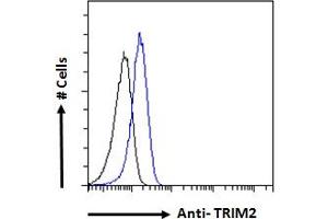 Image no. 2 for anti-Tripartite Motif Containing 2 (TRIM2) (C-Term) antibody (ABIN184974)