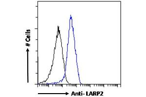 Image no. 3 for anti-La Ribonucleoprotein Domain Family, Member 1B (LARP1B) (Internal Region) antibody (ABIN190867)