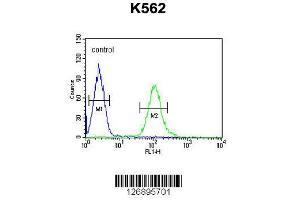 Image no. 3 for anti-UBA Domain Containing 1 (UBAC1) (AA 264-292), (C-Term) antibody (ABIN651546)
