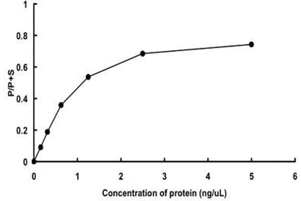 NEK4 Protein (AA 1-841) (GST tag)