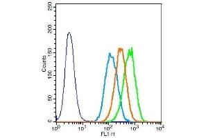 Flow Cytometry (FACS) image for anti-Elastin (ELN) (AA 681-786) antibody (ABIN734003)
