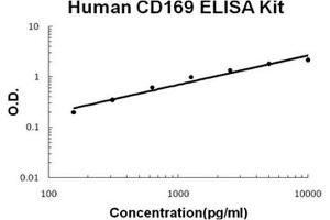 Sialic Acid Binding Ig-Like Lectin 1, Sialoadhesin (SIGLEC1) ELISA Kit