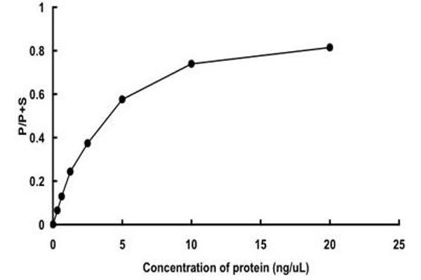 TAO Kinase 2 (TAOK2) (AA 1-319) protein (GST tag)