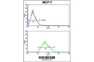 Flow Cytometry (FACS) image for anti-Cytochrome C Oxidase Subunit Va (COX5A) antibody (ABIN2158339)