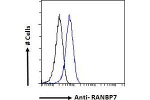 Image no. 3 for anti-Importin 7 (IPO7) (C-Term) antibody (ABIN184802)