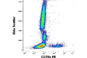 Image no. 3 for anti-CD79b Molecule, Immunoglobulin-Associated beta (CD79B) antibody (PE) (ABIN1027696)