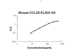 Image no. 1 for Chemokine (C-C Motif) Ligand 20 (CCL20) ELISA Kit (ABIN1889300)