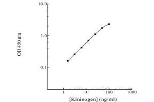 Image no. 1 for Kininogen 1 (KNG1) ELISA Kit (ABIN2684811)