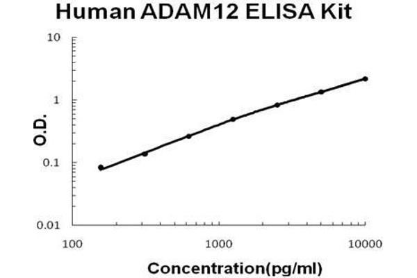 ADAM Metallopeptidase Domain 12 (ADAM12) ELISA Kit