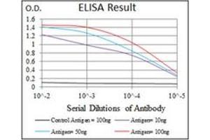 Image no. 1 for anti-Alkaline Phosphatase, Liver/bone/kidney (ALPL) antibody (ABIN1105293)