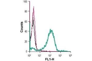 Cell surface detection of FFAR2 in live intact human THP-1 monocytic leukemia cells: (black line) Cells.