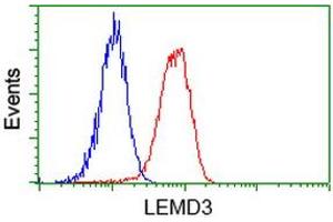 Image no. 2 for anti-LEM Domain Containing 3 (LEMD3) antibody (ABIN2724627)