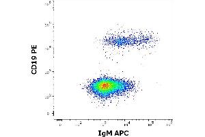 Flow cytometry multicolor surface staining of human lymphocytes stained using anti-human IgM (CH2) APC antibody (concentration in sample 0,6 μg/mL) and anti-human CD19 (LT19) PE antibody (20 μL reagent / 100 μL of peripheral whole blood).