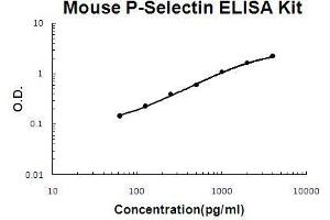 Image no. 1 for Selectin P (Granule Membrane Protein 140kDa, Antigen CD62) (SELP) ELISA Kit (ABIN411352)