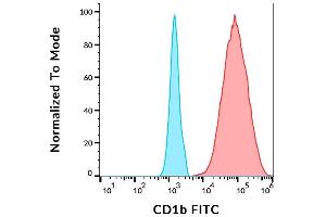 Image no. 1 for anti-CD1b (CD1B) antibody (FITC) (ABIN1981886)