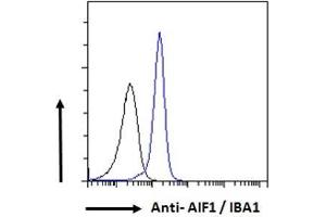 Image no. 3 for anti-Allograft Inflammatory Factor 1 (AIF1) (C-Term) antibody (ABIN190906)