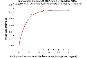 Transforming Growth Factor, beta 1 (TGFB1) (AA 30-278) (Active) protein (His tag,AVI tag,Biotin)