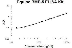 Image no. 1 for Bone Morphogenetic Protein 5 (BMP5) ELISA Kit (ABIN5510526)