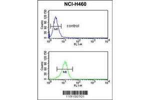 Flow Cytometry (FACS) image for anti-CD40 Ligand (CD40LG) antibody (ABIN2158135)
