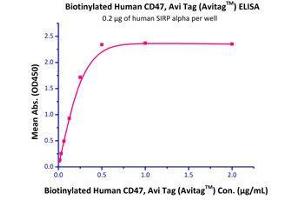Image no. 3 for CD47 (CD47) (AA 19-139) (Active) protein (Fc Tag,AVI tag,Biotin) (ABIN2870532)