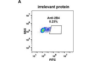 Image no. 2 for anti-Natural Killer Cell Receptor 2B4 (CD244) (AA 22-221) antibody (ABIN6964067)