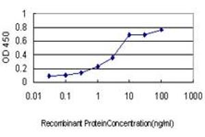 DREAM antibody  (AA 1-256)