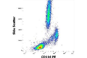 Image no. 1 for anti-Colony Stimulating Factor 2 Receptor, Alpha, Low-Affinity (Granulocyte-Macrophage) (CSF2RA) antibody (PE) (ABIN1981895)