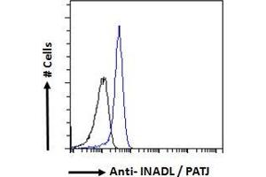 Image no. 3 for anti-InaD-Like (INADL) (N-Term) antibody (ABIN185139)