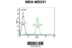 Image no. 3 for anti-Egl-9 Family Hypoxia Inducible Factor 2 (EGLN2) (AA 194-221) antibody (ABIN652648)