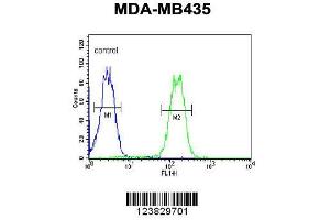 Image no. 1 for anti-LYR Motif Containing 4 (LYRM4) (AA 43-69) antibody (ABIN654638)
