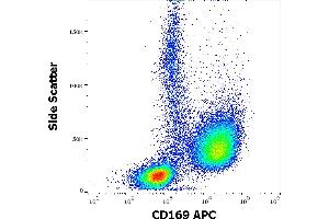 Sialoadhesin/CD169 antibody  (APC)