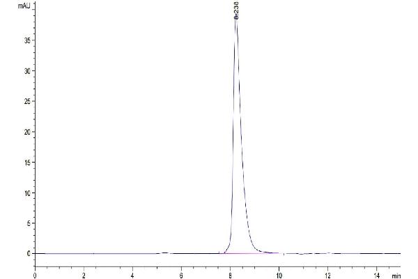 SEMA7A Protein (His tag)