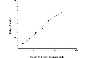 Image no. 1 for Metallothionein 2 (MT2) ELISA Kit (ABIN6962307)