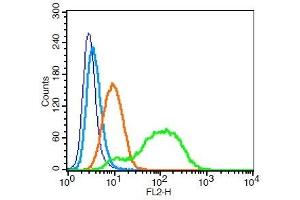 Human U937 cells probed with CD46/MCP Polyclonal Antibody, Unconjugated ( 	 at 1:100 for 30 minutes followed by incubation with a PE Conjugated secondary (green) for 30 minutes compared to control cells (blue), secondary only (light blue) and isotype control (orange).