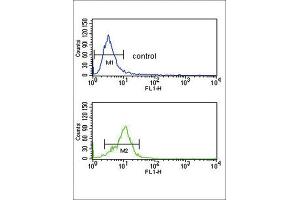Image no. 2 for anti-Corticotropin Releasing Hormone Receptor 2 (CRHR2) antibody (ABIN3002798)