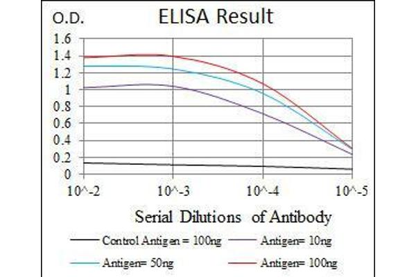 FZD5 antibody  (AA 151-217)