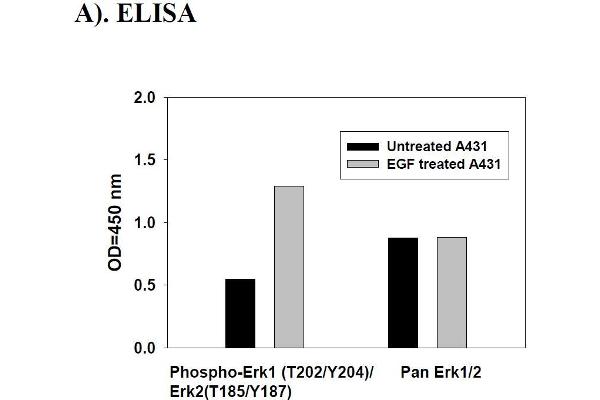 Mitogen-Activated Protein Kinase 1/3 (MAPK1/3) ELISA Kit