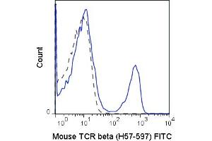 TCR beta antibody  (FITC)