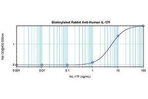 Image no. 1 for anti-Interleukin 17F (IL17F) antibody (Biotin) (ABIN465524)