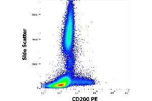 Image no. 1 for anti-CD200 (CD200) antibody (PE) (ABIN1690744)