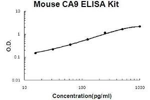 Image no. 1 for Carbonic Anhydrase IX (CA9) ELISA Kit (ABIN5510742)
