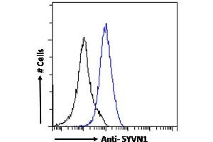 Image no. 1 for anti-Synovial Apoptosis Inhibitor 1, Synoviolin (SYVN1) (Internal Region) antibody (ABIN1590085)