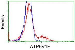 Flow Cytometry (FACS) image for anti-ATPase, H+ Transporting, Lysosomal 14kDa, V1 Subunit F (ATP6V1F) antibody (ABIN1496778)
