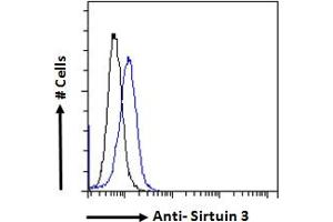 Image no. 1 for anti-Sirtuin 3 (SIRT3) (Internal Region) antibody (ABIN768568)