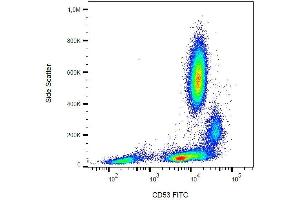 Image no. 1 for anti-CD53 (CD53) antibody (FITC) (ABIN192137)