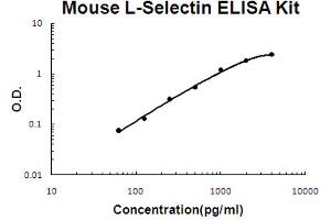 Mouse L-Selectin Accusignal ELISA Kit Mouse L-Selectin AccuSignal ELISA Kit standard curve.