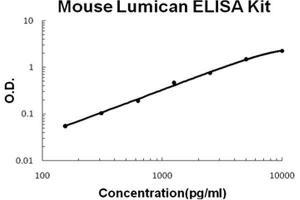 Image no. 1 for Lumican (LUM) ELISA Kit (ABIN1889412)