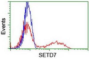 Image no. 3 for anti-SET Domain Containing (Lysine Methyltransferase) 7 (SETD7) antibody (ABIN1500903)