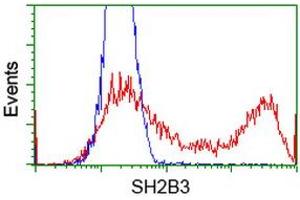 Image no. 1 for anti-SH2B Adaptor Protein 3 (SH2B3) antibody (ABIN2731948)